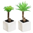 thumbnail image 1 of 2 uds simulación de suculentas bonsái adornos creativos simulación de plantas verdes decoración interior, 1 of 5