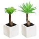 thumbnail image 1 of 2 uds simulación de suculentas bonsái adornos creativos simulación de plantas verdes decoración interior, 1 of 5