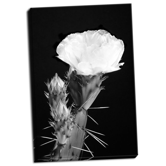 Gango Home Decor Beginning the Month of Yellow BW by Douglas Taylor (Ready to Hang); One 24x36in Hand-Stretched Canvas