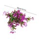 thumbnail image 3 of Ramo de Flores Artificiales de Gypsophila en Blanco, Púrpura y Vino Tinto – 36 cm de Tallos Plásticos Falsos de Gypsophila para Decoración del Hogar, Bodas, Fiestas y Regalos, 3 of 6