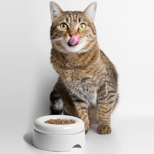 Cat Food Bowl, Ceramic Bowls for Indoor Cats, No Spill Cat Feeding Bowl, Whisker Stress Free Kitten Bowls, Non Skin Pet Bowls for Food and Water (Torus - Set of Two, White)