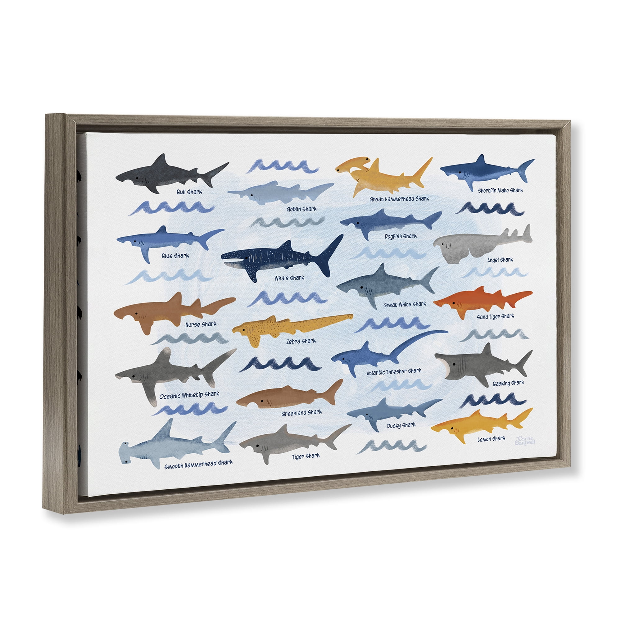 Stupell Industries Various Shark Breeds Coastal Painting Brown Floater Framed Art Print Wall Art, 31 x 21
