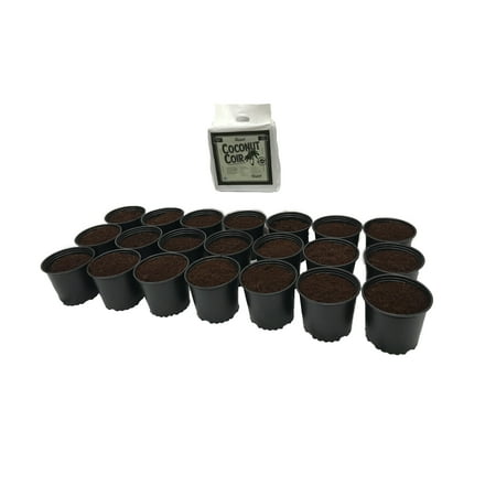 - 1 Gal. Plastic Nursery Pots (3.78 l) 21-Pack with Coconut Coir Growing Media