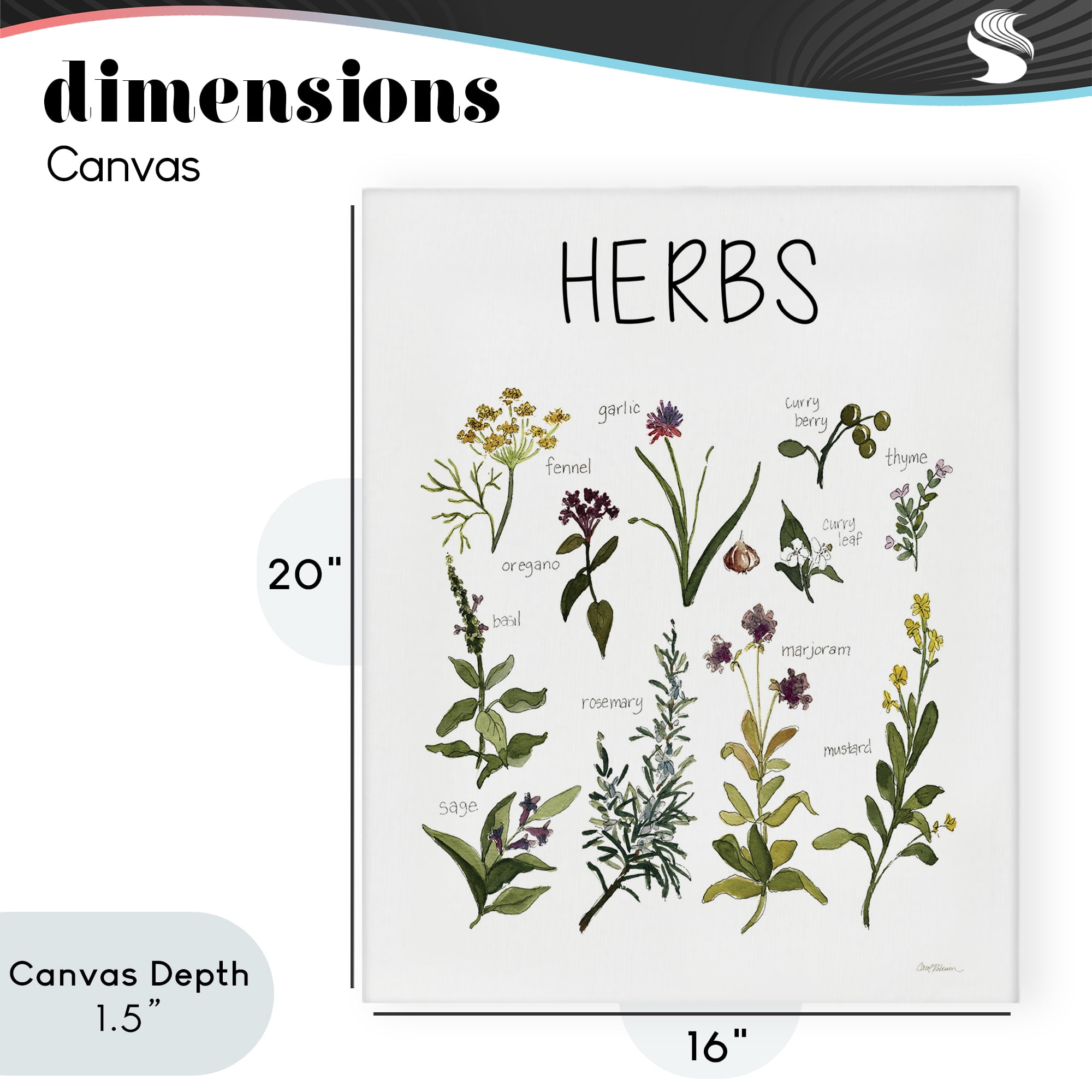 Stupell Industries Herbs Identification Chart Canvas Wall Art, design by Carol Robinson