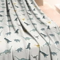 thumbnail image 3 of LightGray Cartoon Dinosaurs Pattern Blanket,Comfortable Soft Lamb Wool Throw Blanket,All Season,Warm Lightweight Blankets for Sofa Bed Couch Living Room Chair,60"x80", 3 of 4