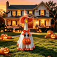 thumbnail image 6 of RUINIXCW Halloween Porch Goose Outfits for 23 inch Cement Plastic Goose Statue Accessories Holiday Porch Goose Clothes Ghost Dress Witch Hat Pumpkin Basket Set Yard Patio Lawn Art Decor (No Goose), 6 of 6
