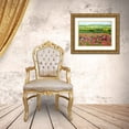thumbnail image 3 of Friedlander, Allan 18x15 Gold Ornate Wood Framed with Double Matting Museum Art Print Titled - Ginger Green, 3 of 4