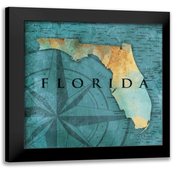 Grey, Jace 12x12 Black Modern Framed Museum Art Print Titled - Florida Sea Map