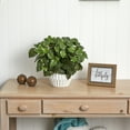 thumbnail image 2 of 16’’ Pothos Artificial Plant in White Ceramic Vase, 2 of 3