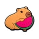thumbnail image 3 of 20 Pcs/set Cartoon Capybara Croc Shoes Charms For Crocs Clog Sandals Decor Accessories, 3 of 5
