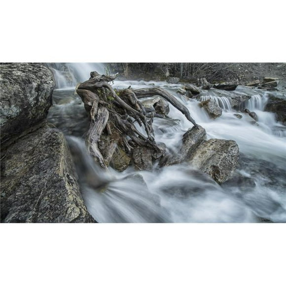 Posterazzi DPI12252405LARGE Tangle Creek Waterfalls Jasper National Park - Alberta Canada Poster Print - 40 x 22 in. - Large