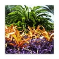 thumbnail image 2 of Gango Home Decor Contemporary Tropical Garden I by Alan Hausenflock (Printed on Paper); One 24x24in Fine Art Paper Giclee Print, 2 of 4