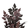 thumbnail image 3 of My Texas House Halloween Faux Leaves Stem, Plum, 30", 3 of 5
