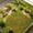 Multicolor-Free Size/A, variant on Dense Artificial Aquarium Grass Mat 60cm Plastic Plant Substrate Green Fish Tank Decor