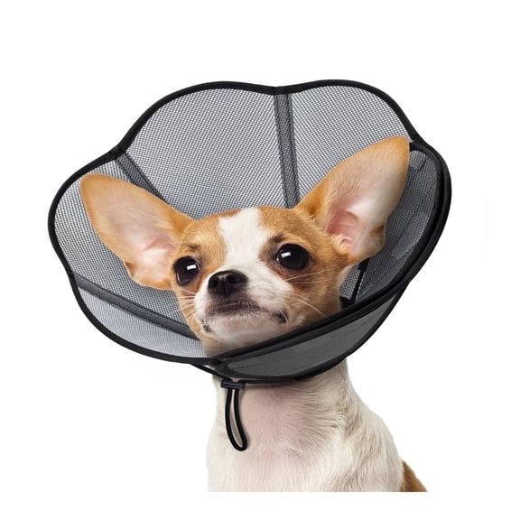 Clearance!MIDOG Adjustable Polyresin Elizabethan Collar for Cats & Dogs, Gray, Small (1 Pack)