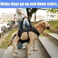 thumbnail image 4 of Coodeo Rehabilitation Support Series Adjustable Dog Lifting Aid Full Body Harnesses, Black, XL (24 in to 33 in Chest Size), 4 of 6