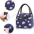 thumbnail image 2 of Lunch Bag, Lunch Bag, Portable Lunch Box Bag, Lunch Box Bag, Small Lunch Bag, Student Lunch Basket, All Foldable Lunch Bag, For School, Work, Outdoor Picnic, 2 of 5
