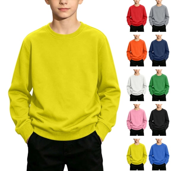 Seffadzy Kids Crewneck Sweatshirt Long Sleeve Solid Color Pullover Lightweight Stretchy Casual Top for Boys Girls 1-13 Years 12-13 Years