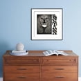 thumbnail image 3 of Santana, Animals Framed Art Print Wall Art Sold by Art.Com, 3 of 5