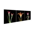 thumbnail image 4 of Chic Home Tropical 3 Piece Set Wrapped Canvas Wall Art, 4 of 4