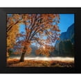 thumbnail image 2 of Gavrilis, John 24x20 Black Modern Framed Museum Art Print Titled - Autumn Oak Sunrise And Fog, 2 of 5