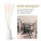 thumbnail image 3 of YSNOOWE 1Jgo Planta Artificial De Pampas Para Centro De En Bodas Y Eventos Beige, 3 of 7