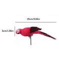 thumbnail image 3 of Fake Parrot Ornament, Realistic Artificial Birds, Blue Artificial Parrot with Lifelike Feathered, 1Pcs Fake Shoulder Parrot Decor Model, Decoration Craft Model Red 9.8x1.9 In, 3 of 4