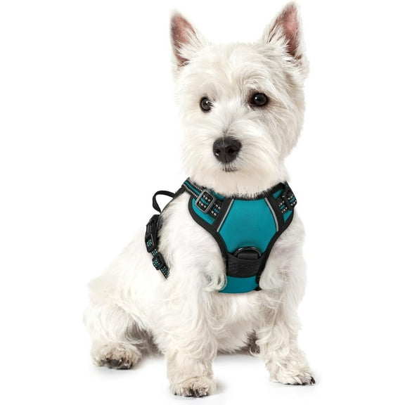 rabbitgoo Dog Harness, No-Pull Pet Harness with 2 Leash Clips, Adjustable Soft Padded Dog Vest, Reflective Outdoor Pet Oxford Vest with Easy Control Handle for Large Dogs, Teal