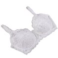 thumbnail image 2 of Women’s Push Up Lace Bra Comfort Padded Underwire Bra Lift Up 70B/75B/80B/85B/90B, 2 of 2