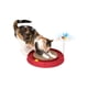 thumbnail image 2 of Juguete para Gatos Catit Circuito Rojo, 2 of 3