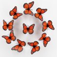 thumbnail image 3 of YAOMOBB Anti-slip Refrigerator Magnet Realistic 3D Magnets Set for Fridge Decoration (10 Pcs), 3 of 7