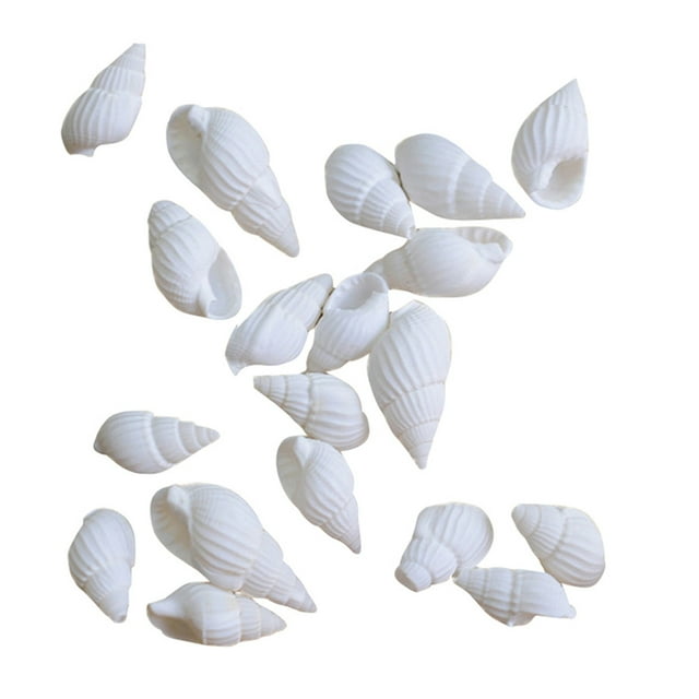 100pcs White Mini Sea Shell Conches Craft Wedding Garden Aquarium Decoration