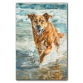 thumbnail image 3 of Funny Dog on Beach Canvas Wall Art, Chinook Dog Picture Ocean Artwork for Bathroom Bedroom Living Room, Art Decor 8x12 Inches, 3 of 6