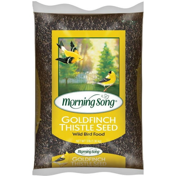 Morning Song Nyjer Seed Goldfinch Bird Seed Wild Bird Food - 3 Lbs
