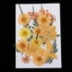 thumbnail image 3 of Tarjetas de felicitación colgantes con flores secas prensadas mixtas para álbumes de recortes, decoración DIY y decoración. naranja, 3 of 5