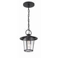 thumbnail image 4 of Crystorama Andover 1 Light Matte Black Outdoor Chandelier - 9"W x 11"H, 4 of 8