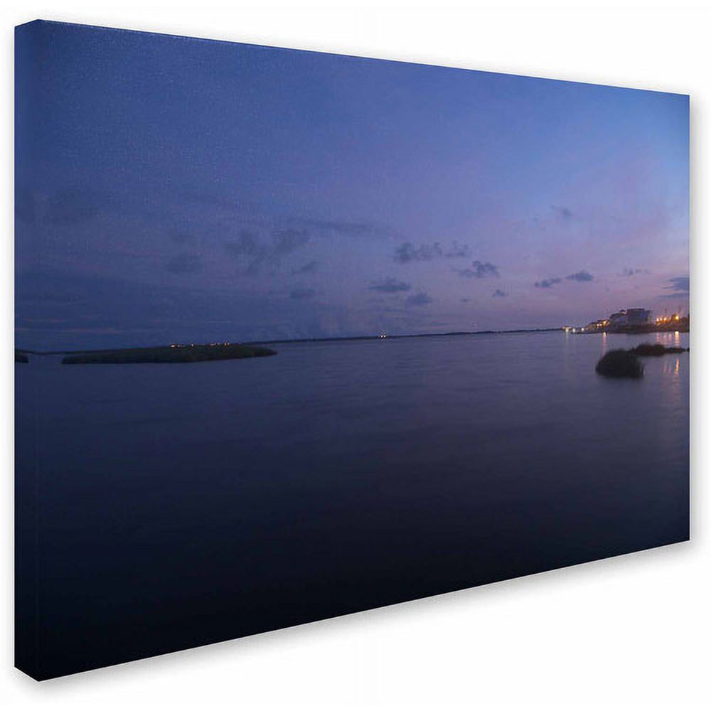 "Pure Elegance" Canvas Art by Monica Fleet