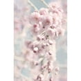 thumbnail image 3 of Deiter, Lori 11x14 Black Modern Framed Museum Art Print Titled - Weeping Cherry, 3 of 5