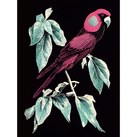 Coral Parrot On Tree Branch Silver Linocut Illustration Modern Vibrant Large Wall Art Poster Print Thick Paper 18X24 Inch