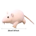 thumbnail image 6 of LKWLPD Soft Small Grey Rat Mouse Plush Toy Lifelike Mice Stuffed Animals Toys Dolls for Kids Plush Doll Soft Stuffed Plush Animal Toy Children Gift,C One Size, 6 of 8