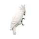 thumbnail image 2 of Estatuilla de resina para pájaros, decoración artística para patio, escultura de animales, figuritas para césped, loros Blanco Cola estatua de loro, 2 of 8