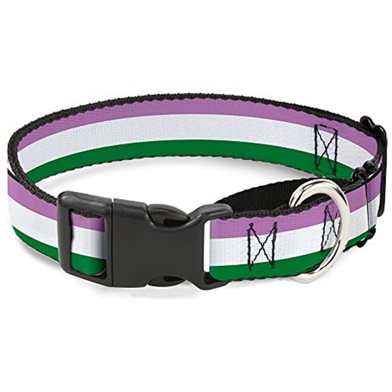 buckle-down flag genderqueer lavender white green martingale dog collar