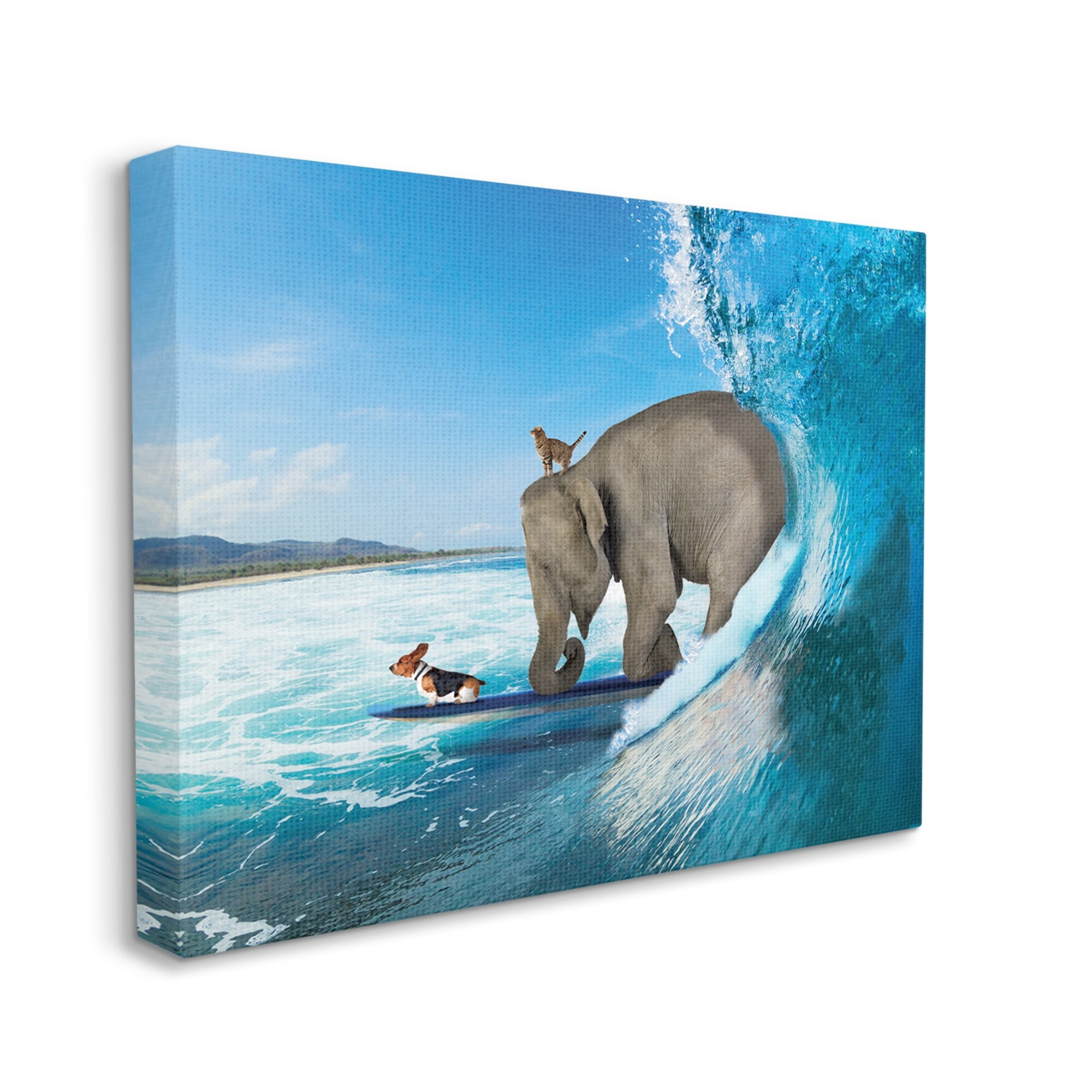 Stupell Industries Animals Riding Ocean Waves Surfing Elephant Cat Dog Graphic Art Gallery Wrapped Canvas Print Wall Art, Design by Nobleworks