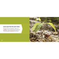 thumbnail image 2 of de Gland à Chêne, 2 of 2