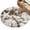 Brown,Bronze,Beige, variant on 2x3 Ft Entryway Area Rug, Brown Coastal Kitchen Rug Runner Washable Floor Mat, Modern Oil Painting Starfish Coral Shell Non Slip Indoor Door Mat Throw Carpet for Bathroom Living Room Bedroom
