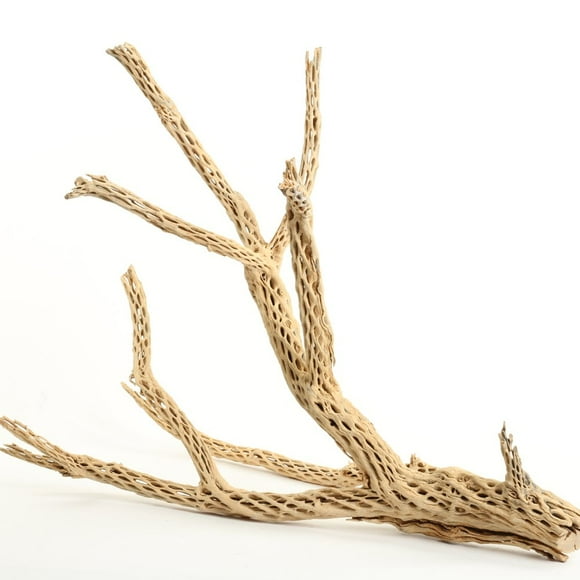 Koyal Wholesale Cholla Wood Aquarium Branches, Airplants Decor, Reptile Perch, Natural Home Decoration, Chew Toy Dried Cactus Wood (24-Inch)