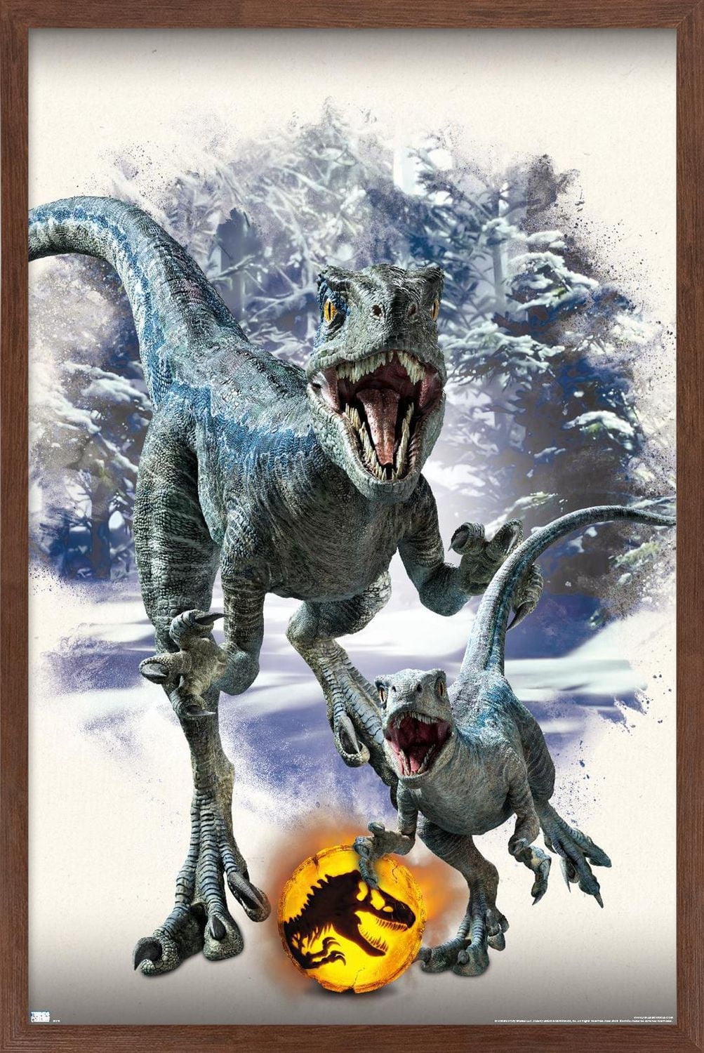 Jurassic World: Dominion - Blue and Beta Focal Wall Poster, 14.725" x 22.375" Framed
