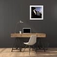 thumbnail image 3 of Gutmann, Bernhard 15x16 White Modern Wood Framed Museum Art Print Titled - Woman In Black, 3 of 4