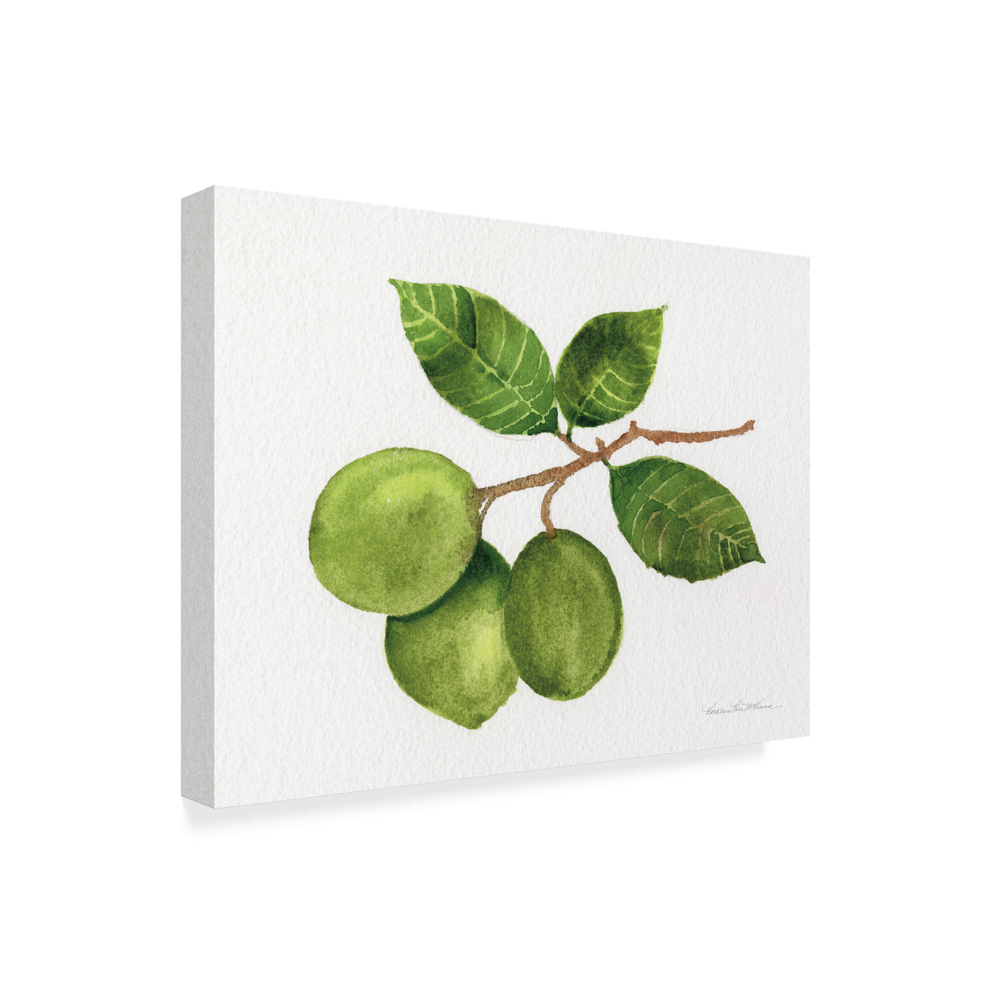 Trademark Fine Art 'Citrus Garden II' Canvas Art by Kathleen Parr McKenna