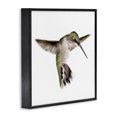 thumbnail image 2 of Stupell Industries Coastal Green Hummingbird Hovering Wings Flying Bird Beak Black Framed Giclee Art, 12 x 12, by Studio Q, 2 of 7